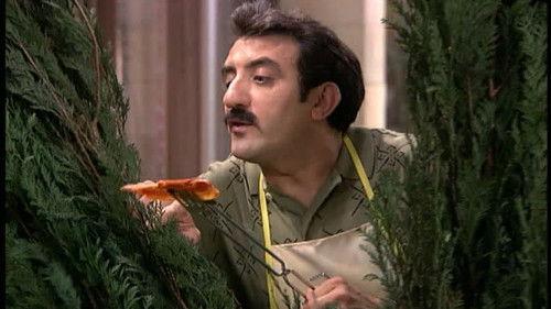 Mis adorables vecinos Season 3 Episode 5 - Episode 5