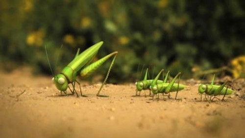 Minuscule: The Private Life of Insects Season 2 Episode 16 - The grasshopper who didn't know how to leap
