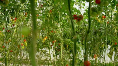 Background image for Vancouver, BC