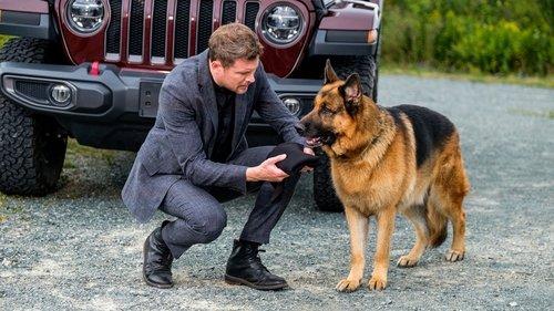 Hudson & Rex Season 4 Episode 7 - A Stab in the Dark Web