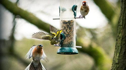 Springwatch Season 17 Episode 1 - Episode 1