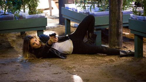 undefined Season 1 Episode 4 - Pizza Box