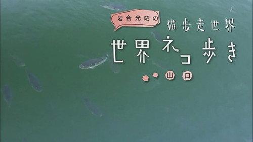 Mitsuaki Iwago's World “Cats” Travelogue Season 1 Episode 20 - Yamaguchi