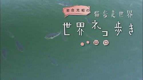 Mitsuaki Iwago's World “Cats” Travelogue Season 1 Episode 20 - Yamaguchi