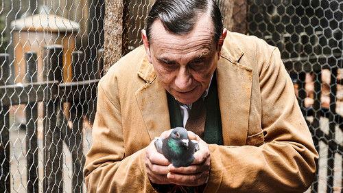 Call the Midwife Season 9 Episode 4 - Episode 4