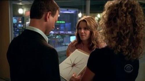 CSI: NY Season 3 Episode 1 - People With Money