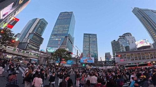Dive in Tokyo Season 4 Episode 21 - Shibuya – The Labyrinth Nestled Within a Valley