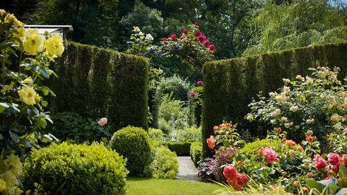 Hinter den Hecken Season 6 Episode 1 - Episode 1