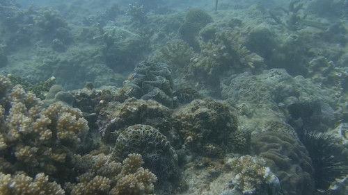 Unexplored Land Season 1 Episode 8 - Episode 8