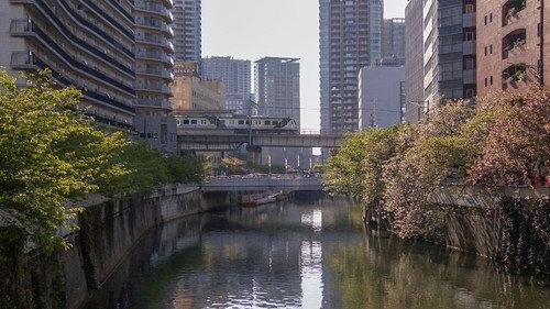 Seasoning the Seasons Season 13 Episode 2 - The Ikegami Line: Through the Heart of Tokyo