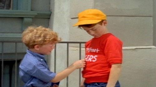 Family Affair Season 2 Episode 9 - Take Me Out of the Ballgame