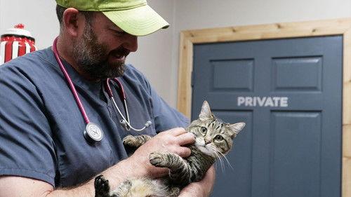 Background image for Pro Bone-O Work