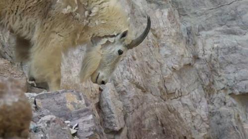 Hostile Planet Season 1 Episode 1 - Mountains