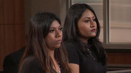 Judy Justice Season 2 Episode 2 - Pedestrians Struck by Car