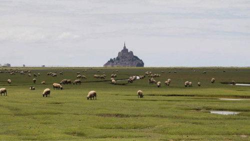 Grands Reportages Season 9 Episode 22 - Episode 22