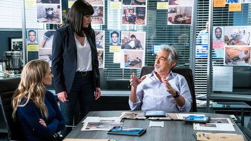 Criminal Minds Season 14 Episode 9 - Broken Wing