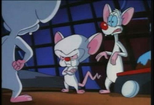 Pinky and the Brain Season 2 Episode 15 - Brinky