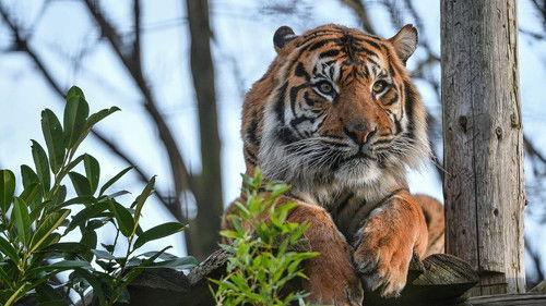 Background image for Episode 5