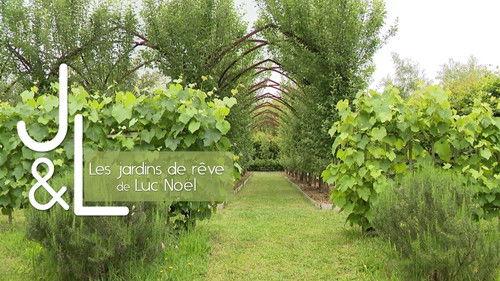 Jardins & Loisirs Season 26 Episode 14 - Episode 14