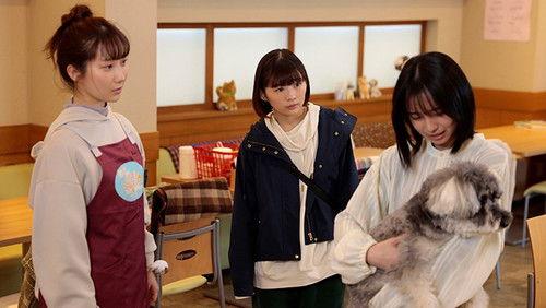 Legal Enforcement With Dogs Season 1 Episode 8 - Episode 8