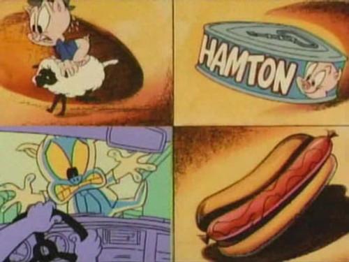 Tiny Toon Adventures Season 1 Episode 62 - Here's Hamton