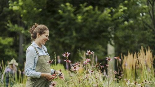 The Garden Chronicles Season 1 Episode 7 - Chanticleer