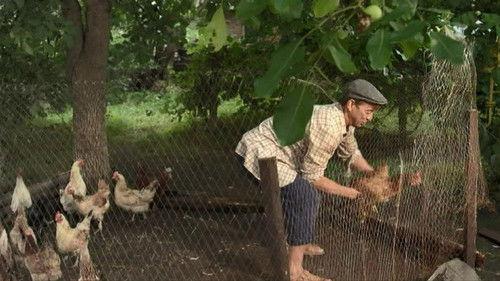 Mityay's Tales Season 1 Episode 14 - Episode 14