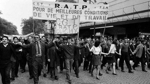 Le Doc du dimanche Season 11 Episode 10 - Episode 10