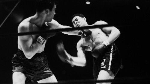 American Experience Season 17 Episode 2 - The Fight