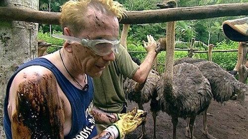 I'm a Celebrity...Get Me Out of Here! Season 3 Episode 2 - Beat the Birds
