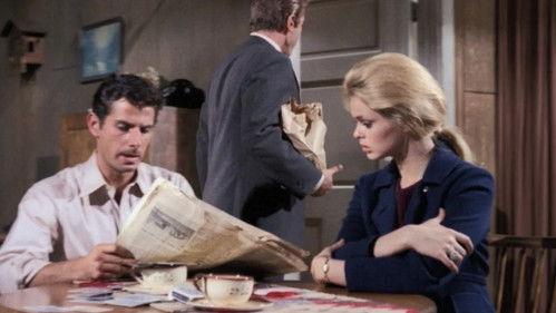 The Fugitive Season 4 Episode 20 - There Goes the Ballgame