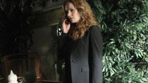 No Ordinary Family Season 1 Episode 15 - No Ordinary Powell