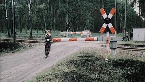 Polizeiruf 110 Season 12 Episode 1 - Schranken