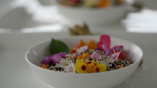 Wisconsin Foodie Season 16 Episode 2 - A Top Chef Dinner in Door County with Kat Turner