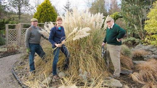 The Beechgrove Garden Season 38 Episode 2 - Episode 2