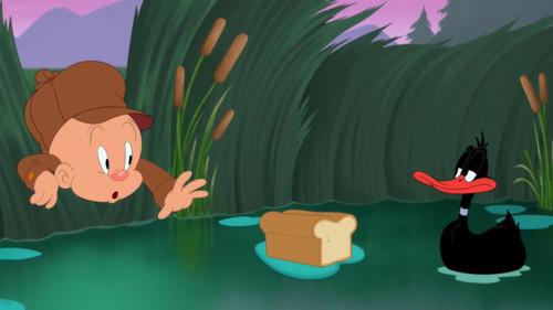 Looney Tunes Cartoons Season 1 Episode 55 - Duck Duck Boom!