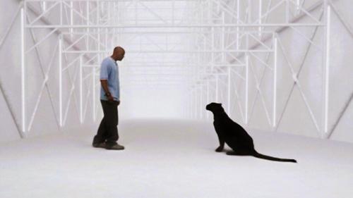 undefined Season 4 Episode 22 - Home