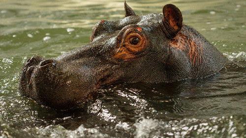 Animal Park Season 25 Episode 2 - Episode 2