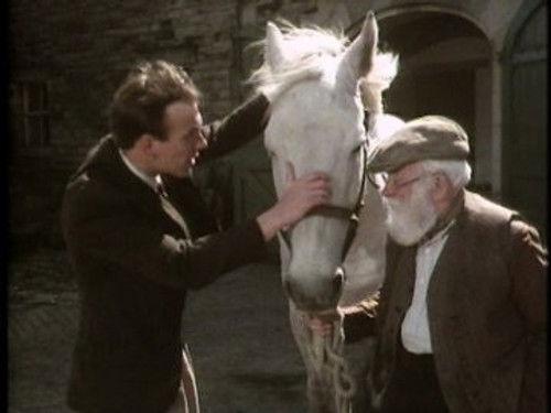 All Creatures Great and Small Season 2 Episode 4 - Beauty of the Beast