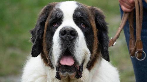 Samantha Brown’s Places to Love Season 2 Episode 3 - Lake Geneva and the Valais Region, Switzerland