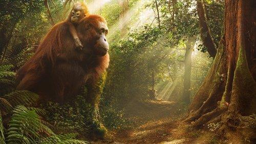 Asia Season 1 Episode 4 - Tangled Worlds