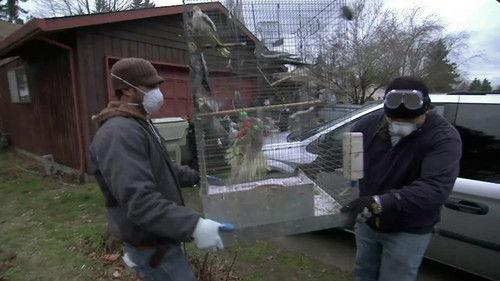 Hoarders Season 2 Episode 14 - Michelle and Kim