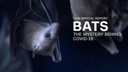 CNN Special Report Season 41 Episode 7 - Bats: The Mystery Behind Covid-19