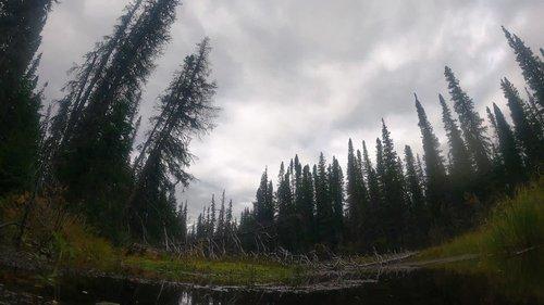 Alone Season 9 Episode 4 - The Beaver