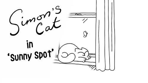 Simon's Cat Season 12 Episode 8 - Sunny Spot