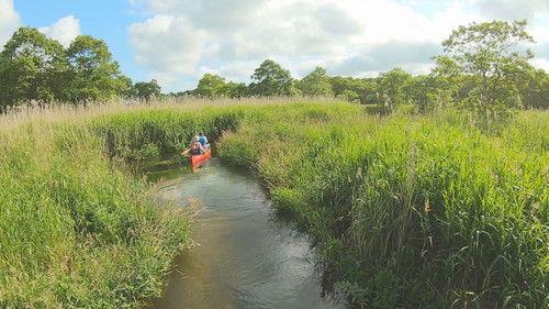 Wild Hokkaido! Season 3 Episode 17 - Yufutsu Plain