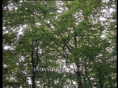 Background image for Endangered Species