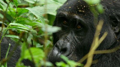 60 Minutes Season 55 Episode 7 - 10/30/2022: Belief in the Ballot, Pathogen X, David Sedaris