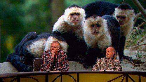 QI Season 13 Episode 6 - Marriage and Mating