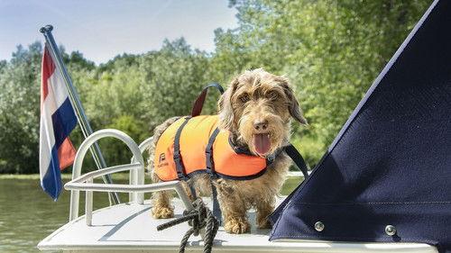 Denkend aan Holland Season 1 Episode 4 - Episode 4